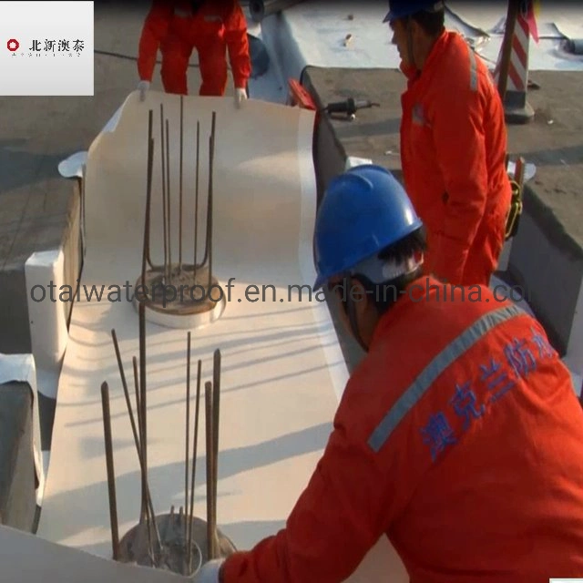 China Top Quality HDPE Pre-Applied Self Adhesive Waterproofing Materials