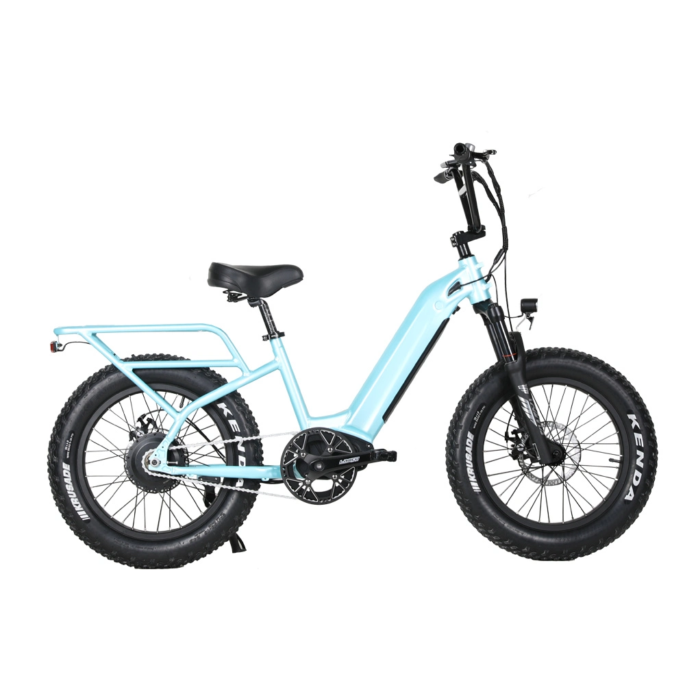 Nuevo diseño 20 pulgadas 350W/500W/750W Mini bicicleta eléctrica de paso a través Con velocidad única