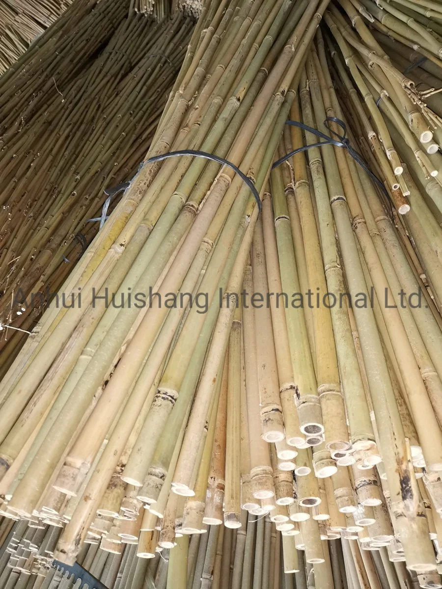 Farm Use Bamboo Stakes Bamboo Canes