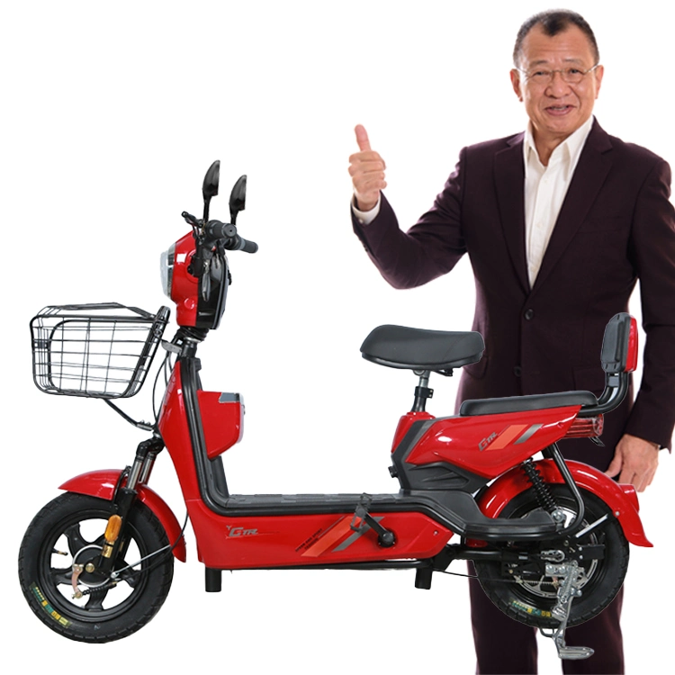 Bicicleta eléctrica para adultos en venta en fábrica de China