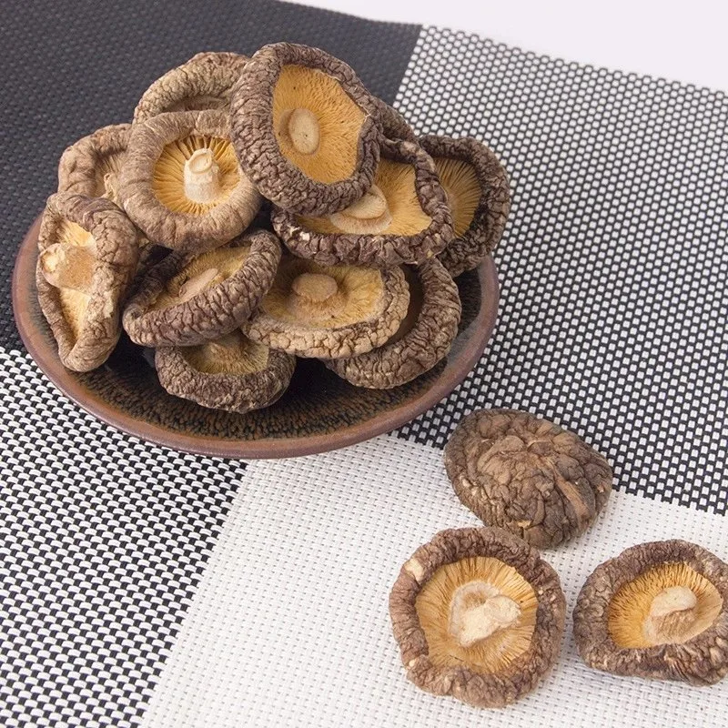 Getrockneter Shiitake Pilz für Hühnersuppe in erstklassiger Qualität