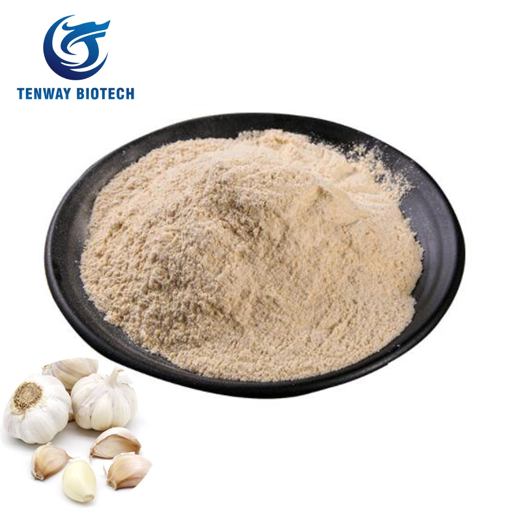 Food Ingredient Seasoning Halal Certified Dry Garlic Powder Without Salt for Sale at Low Price