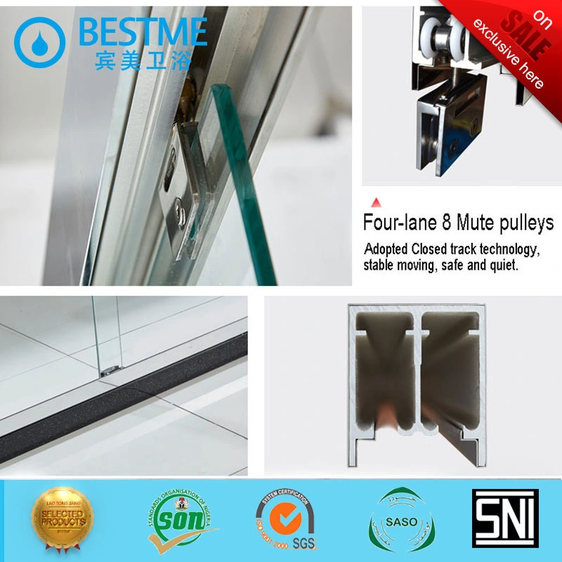 Two Sliding Door Stainless Steel Frame Sanitary Shower Door (BL-B0087-P)