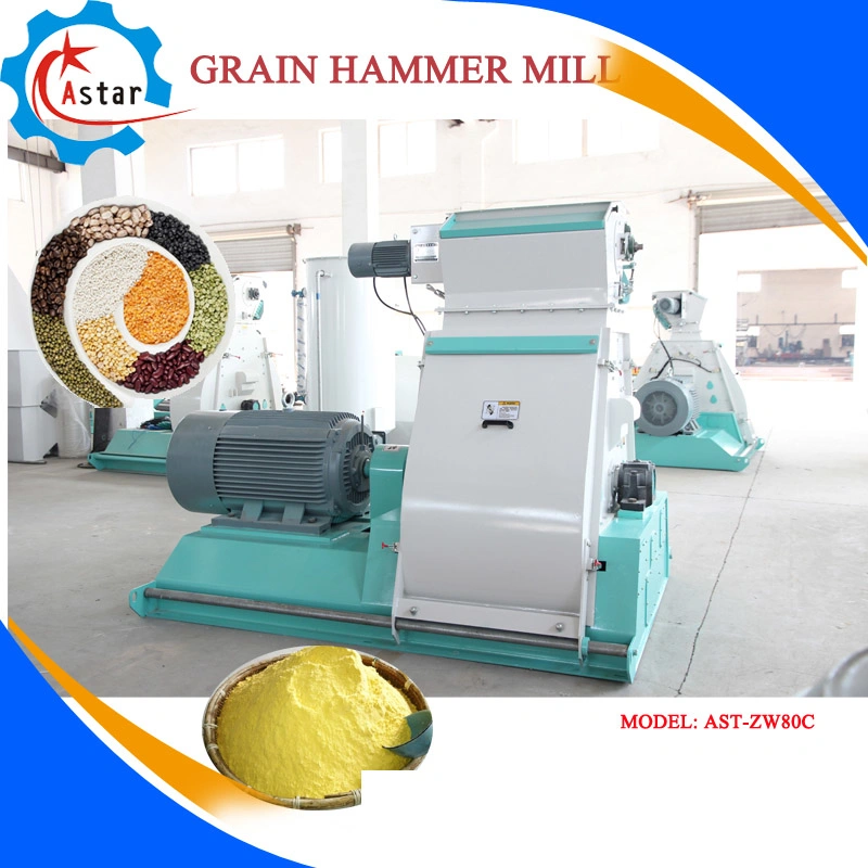 Export to Europe Grain Maize Corn Wheat Flour Mill