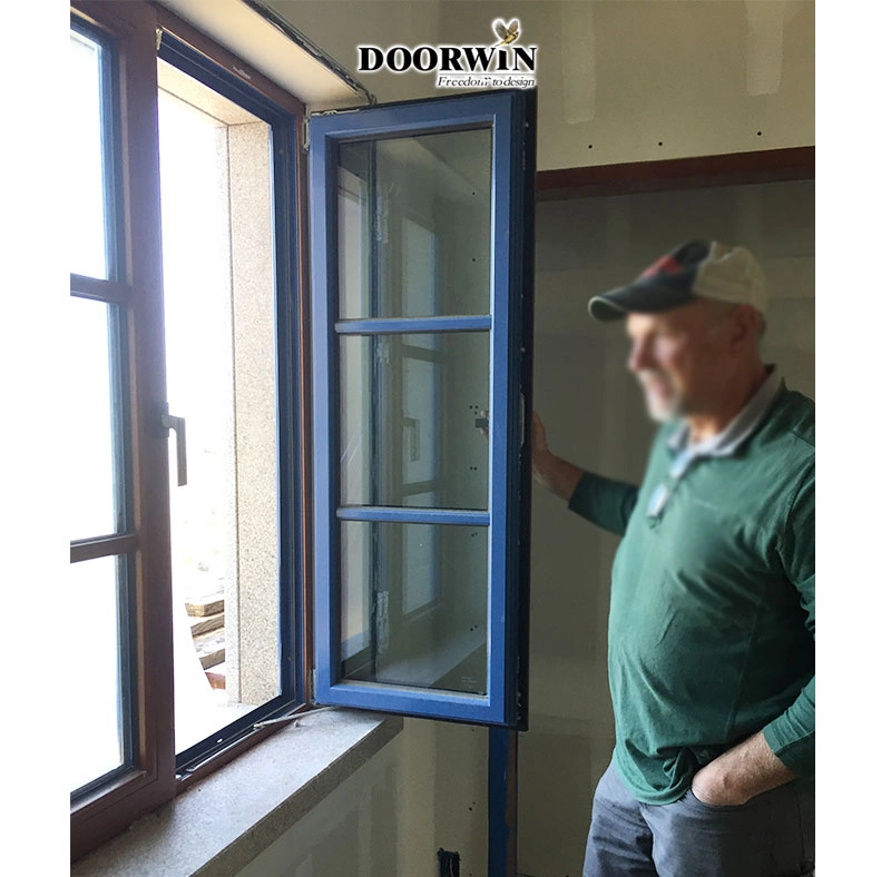 European Dust-Proof Dw-Aluminum Custom Made PVC Doors Windows Casement Window