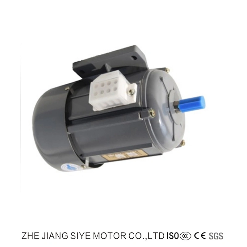 AC Motor del vehículo eléctrico monofásico