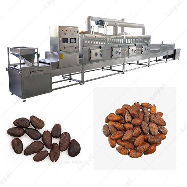 Industrial Tunnel Microwave Coffee Cocoa Bean Roasting Dryer Machine