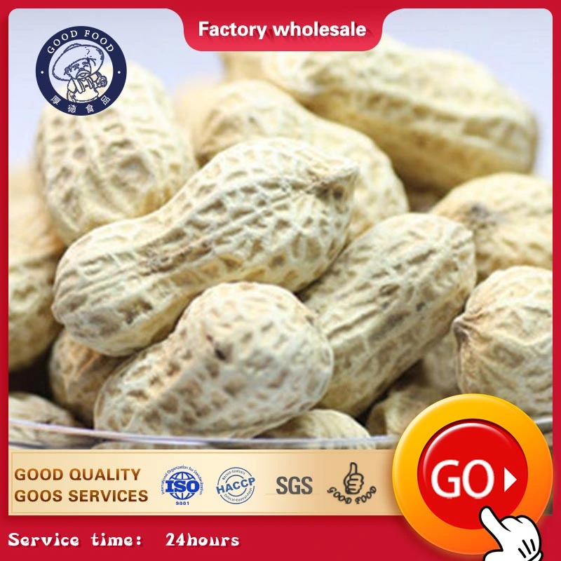 New Crop Nature Garlic Taste Roasted Peanut in Shell