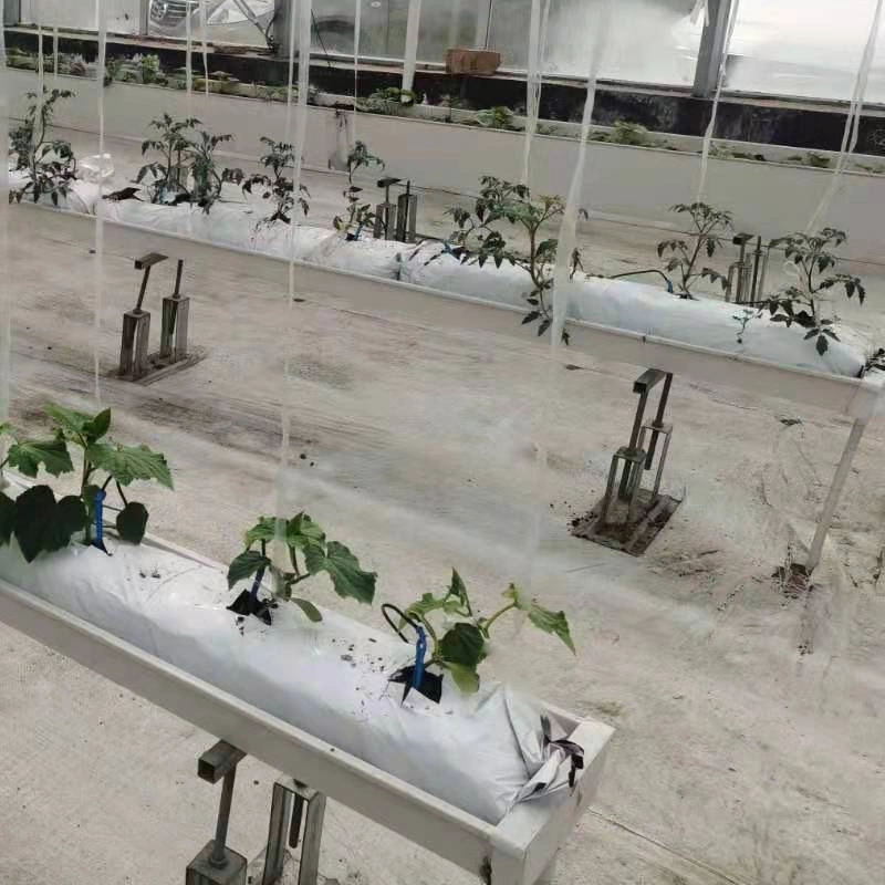 Xinhe Hydroponic Equipment Intelligent Hydroponics System