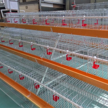 Poultry Farms Battery Cages Laying Hens, Egg Laying Chicken Coop for Sale