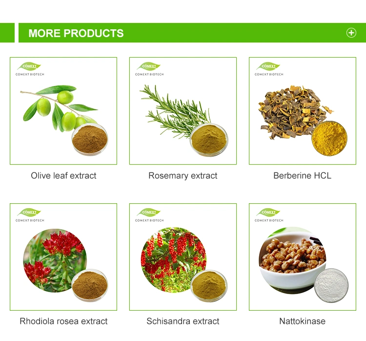 مكاديل أستراغالوس أصل مستخرج سيكلواستراجينول 5% 10% 50% 90% 98% CAS 78574-94-4 Cycloastragenol