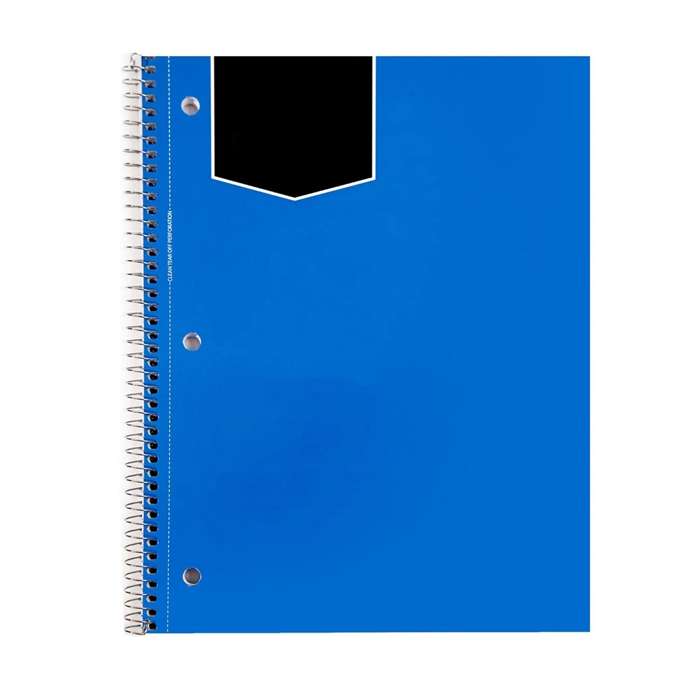 China Supplier School A6 Agenda Kraft Paper Cover A4 Notepad A5 Planner Cheap Spiral Notebook