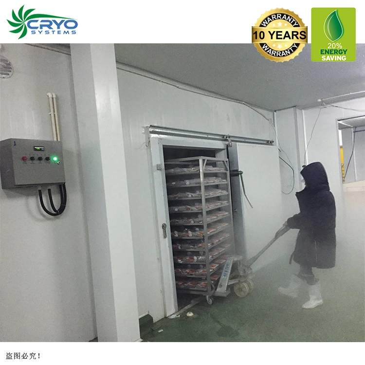 Organic Drink Salmon Frozen Cold Room Door Handle Small Blast Freezer for Sale Cold Storage Fruit