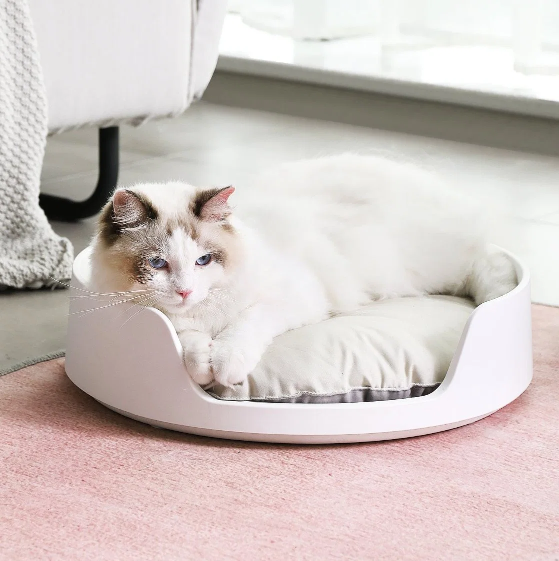 Warm Pet Mat Soft Comfortable Cats Bed Round Antislip Cat Cushion for Cat Pet Sleep Product