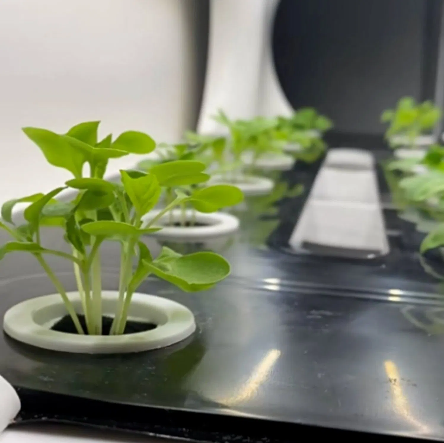 Съемный гидрофонный парниковый комплекс Интеллектуальный светодиодный посадочный шкаф для растений