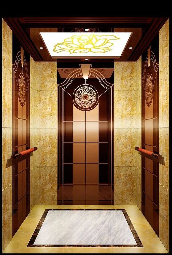 Elevator Price Used Home Elevator for Sale