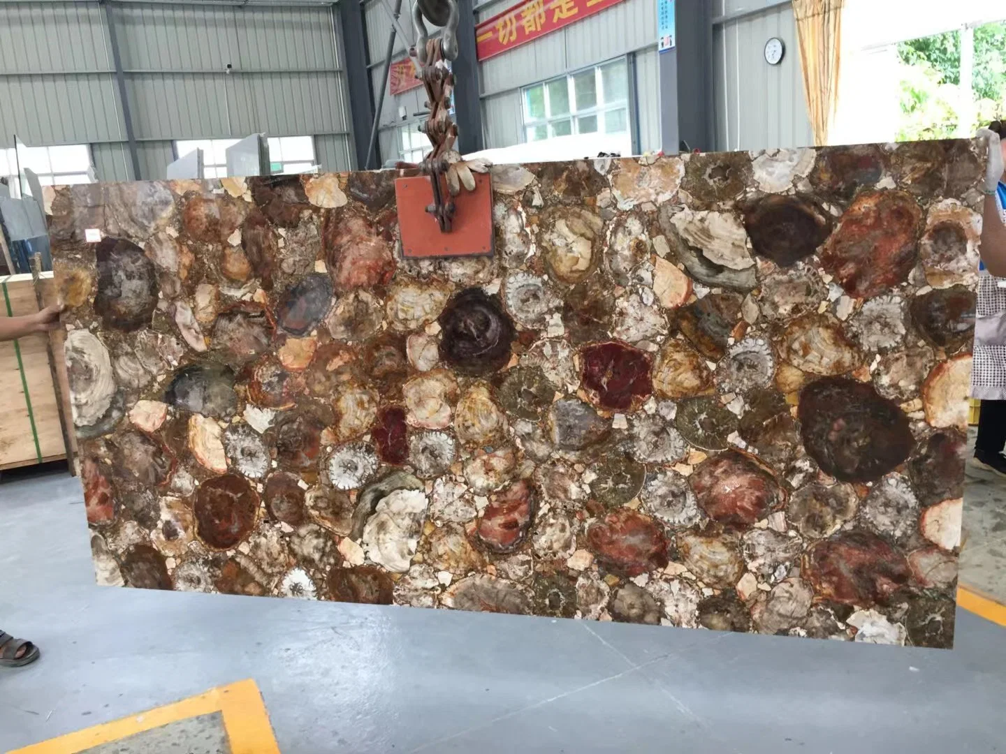 Building Material Black/Beige/White Wall/Floor Tiles Kitchen/Bathroom Countertop Petrified Wood Semiprecious Stone for Home or Hotel