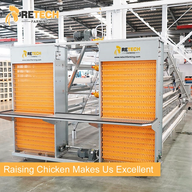 A Type Layer Cage with Full Automatic Poultry Manure Cleaning System and Feeding System