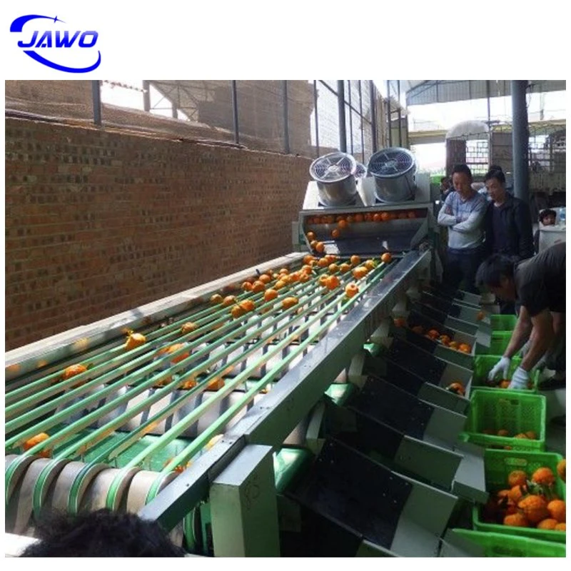 Best Selling Blueberry Grading Machine Fruit Grader Machine with Good Quality