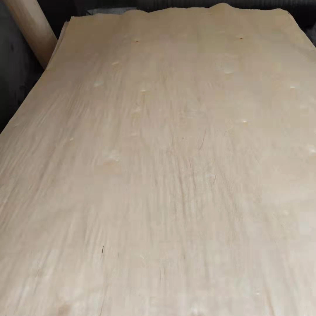 La más alta calidad Precios baratos de abedul de 0,3 mm de chapa para muebles de madera contrachapada de cara