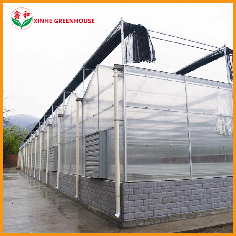 Guter Service Hot-Dipped Verzinktem Rohr Polycarbonat Gewächshaus Blume Haus