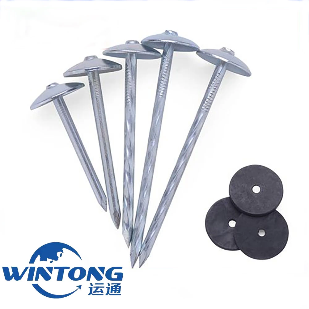 Wholesale Q235 Twisted Shank Galvanized Umbrella Head Roofing Nails