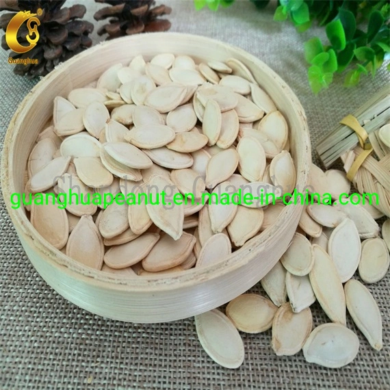 New Crop and Best Quality Shine Skin Pumpkin Seeds