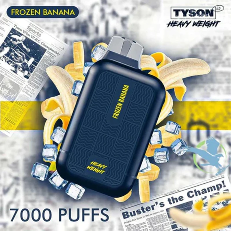 Wholesale/Supplier Tyson 2.0 7000 Puffs 5% (50 mg) Nicotine Disposable/Chargeable Vape