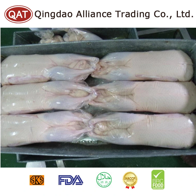 Fresh Live White Whole Frozen Duck Cooked Meat