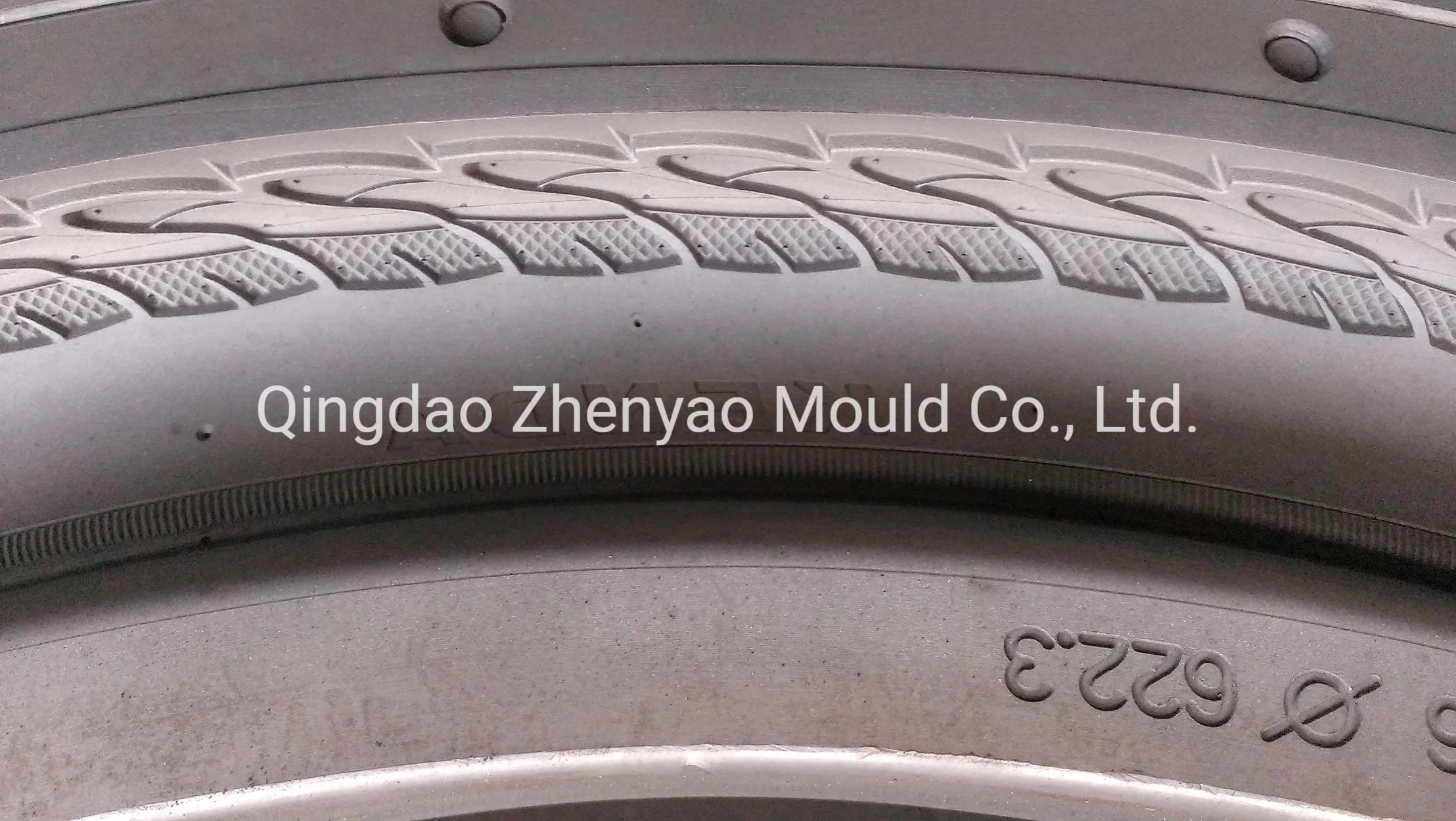 Professional Bike Tire Mold Bike Tyre Mould