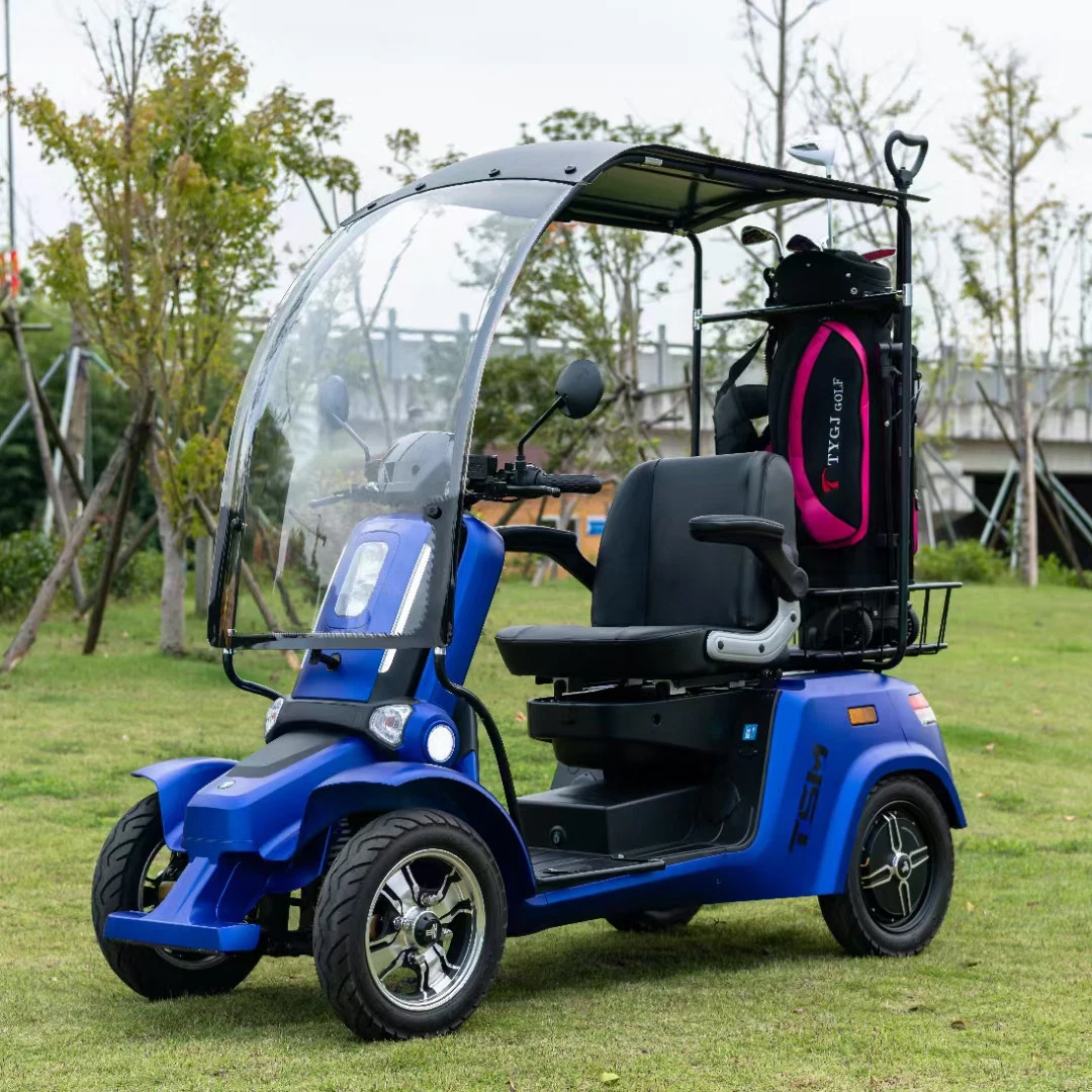 2022 Hot Sports Ground 1 Electric Golf Cart off Road Electric Golf Car for Sale