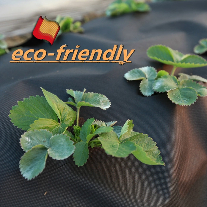 Frost Protección de plantas Agricultura Eco-friendly tela no tejido cubierta 100% Polipropileno PULTRAL Ppacking Zhejiang PP tejido no tejido de la Agricultura con UV