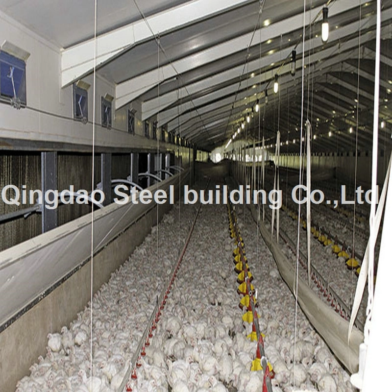 China Beste Qualität Light Steel Struktur Geflügel Huhn Farm Stahl Gebäude Strukturieren