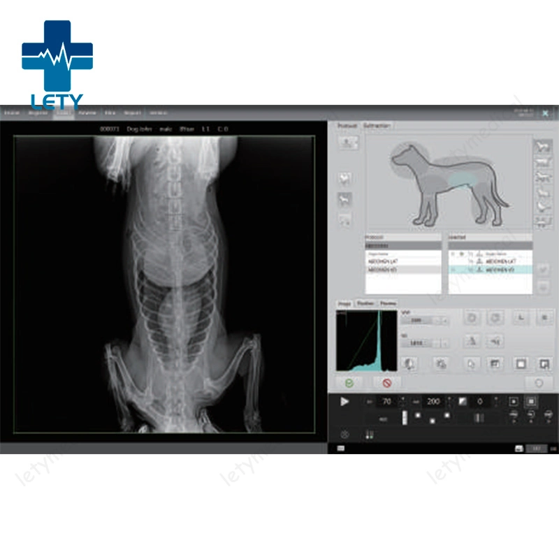 Vet Dr Vet Digital X-ray Unit 20kw Veterinary X-ray