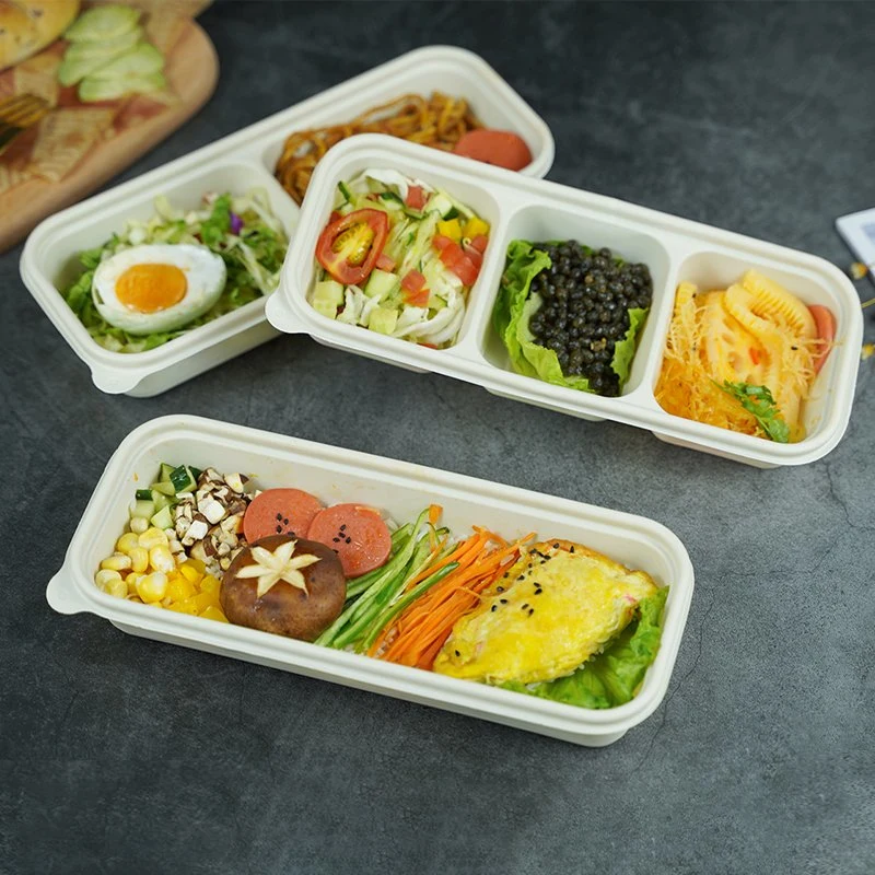 Disposable Biodegradable Tableware Food Container with Sugarcane Bagasse or Cornstarch Raw Material