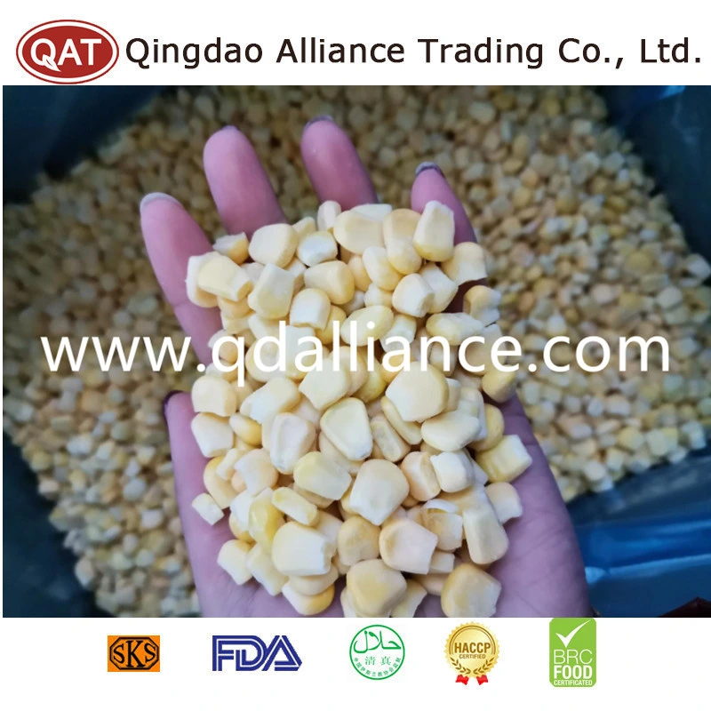 Premium Quality China Frozen Super Sweet Corn Kernels