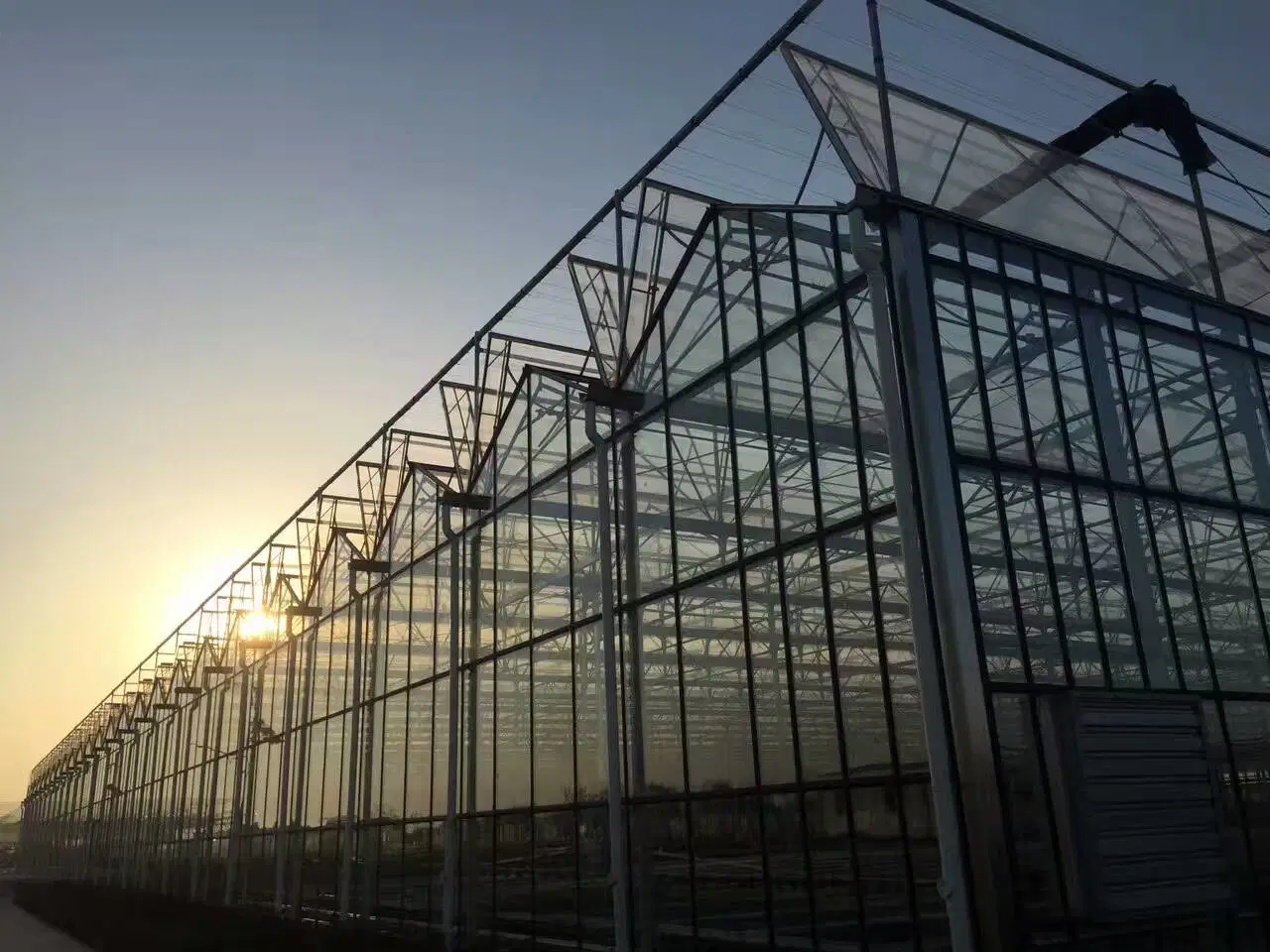 Venlo Type Polycarbonate Board PC Green House The Belt and Road Initiative/Cucumber/Lettuce/Pepper/Planting