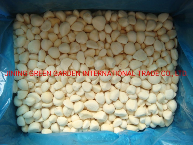 Frozen IQF Fresh Peeled Garlic Cloves with Best Price for Wholesale/Supplier From China Supplier