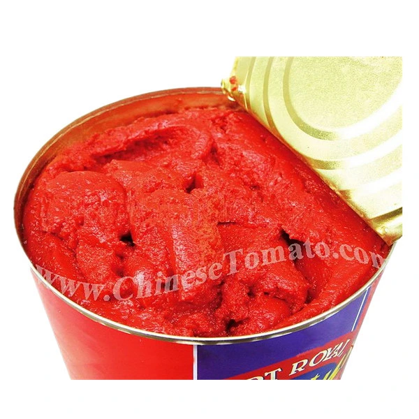 Canned Tomato Paste 70g 210g 400g 2200g for Africa