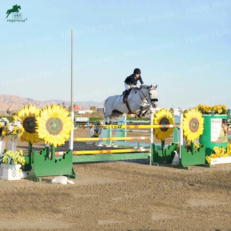 Cheap Horse Jumps Show Jumping Jumps Horse Riding Show Jumping