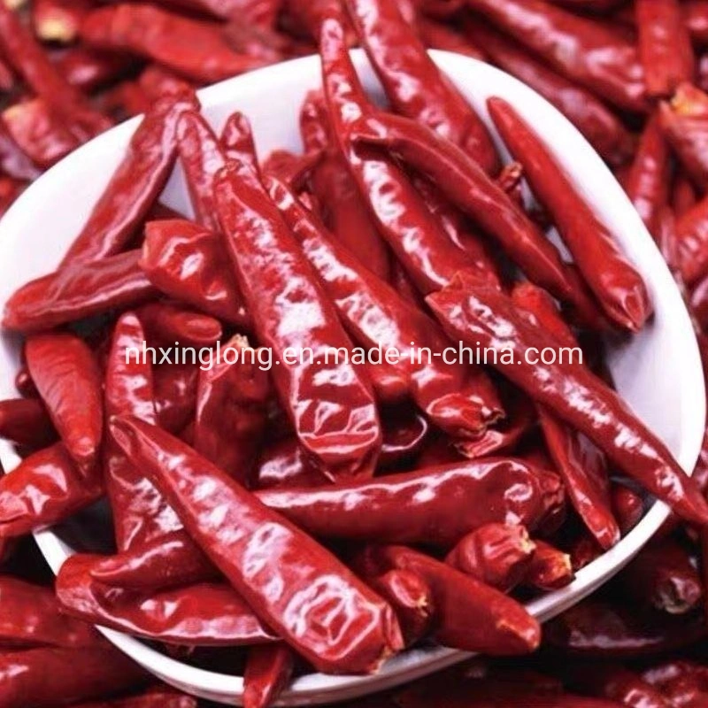 Hot Sale Dry Red Chilli Importers FDA