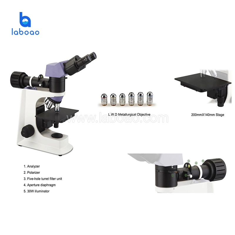 Inversé et à la verticale Microscope optique Microscope métallographique de laboratoire