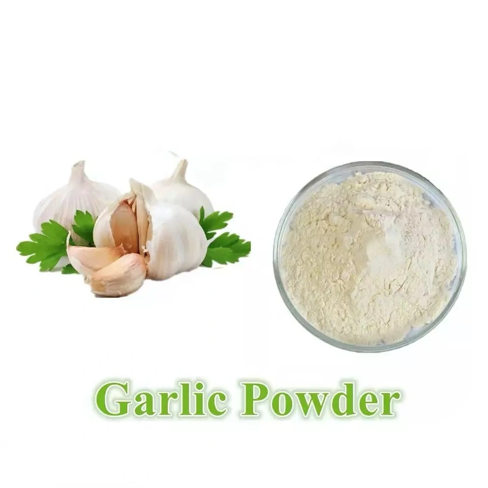 100% Pure Natural Chinese Spices Dried Garlic Extract Powder for Food Seasoning