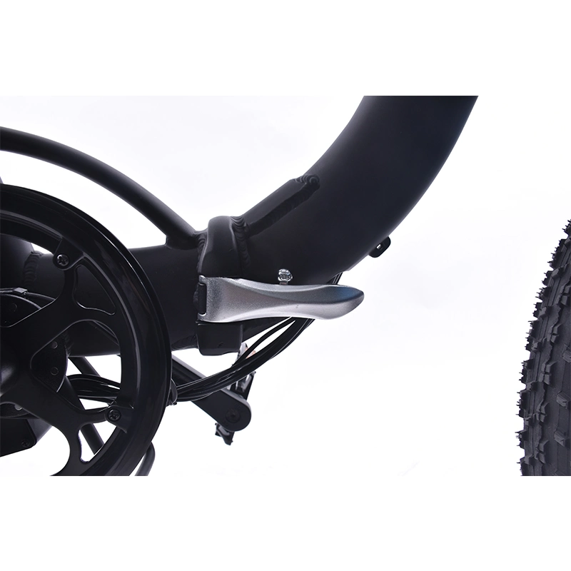 Hot Selling Europe Foldable Electric Fat Dirt Bike 20 Inch