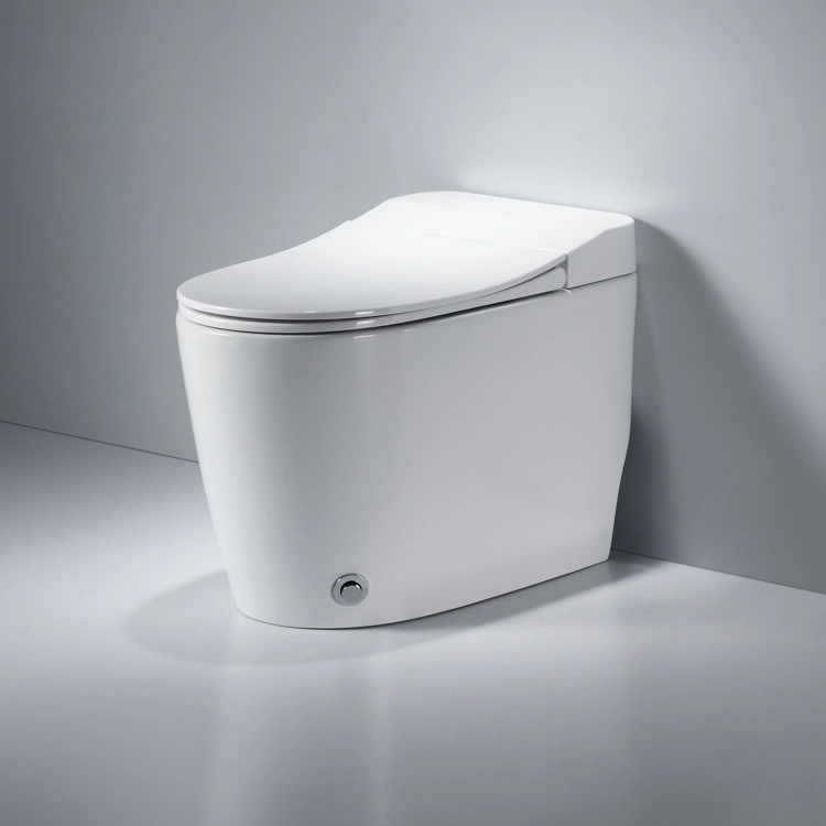 Cheap Model Foot Push Flushing Intelligent Wc