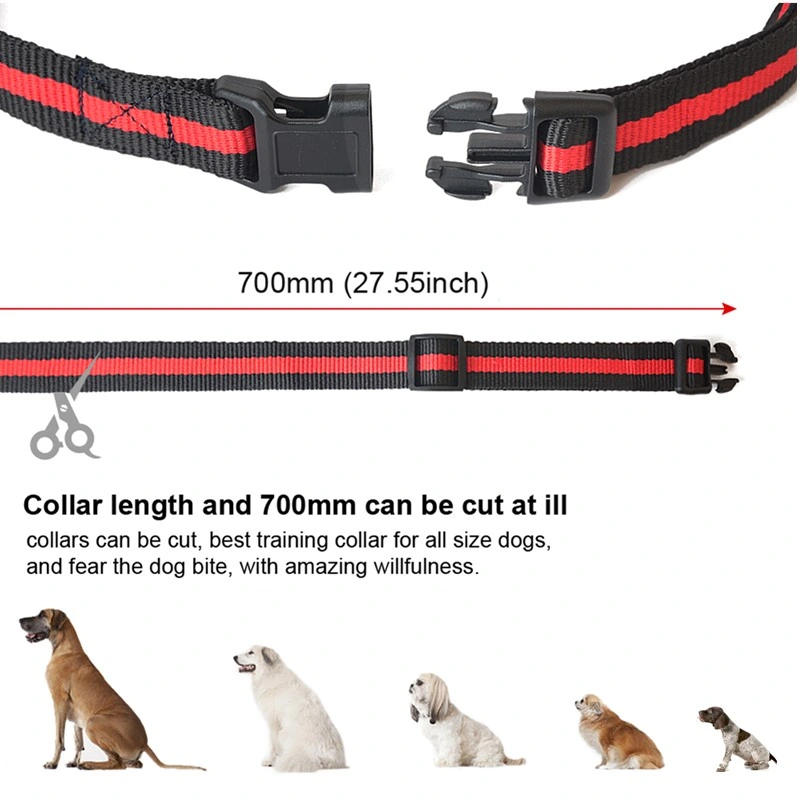 Amazon Best Sell Product Remote Pet Trainer Hunt Dog Collar Schulung