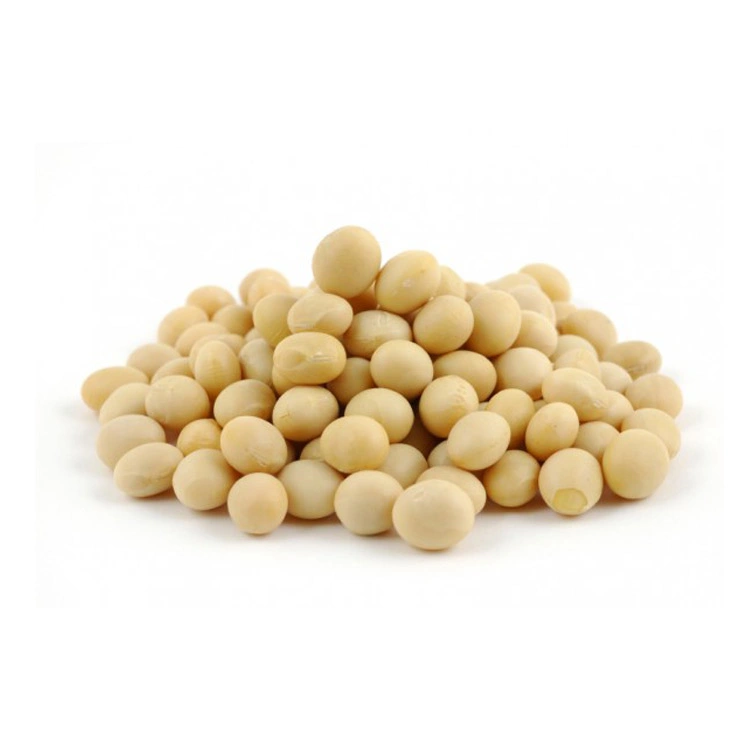 40% 60% 80% Soy Isoflavones Powder Soy Isoflavone Soft Capsule Soybean Extract