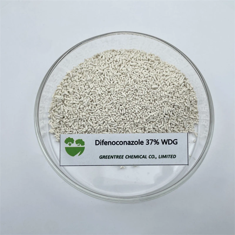 CAS رقم 119446-68-3 مبيد للفطريات 37%Wdg منتجات ديفينوكونازول