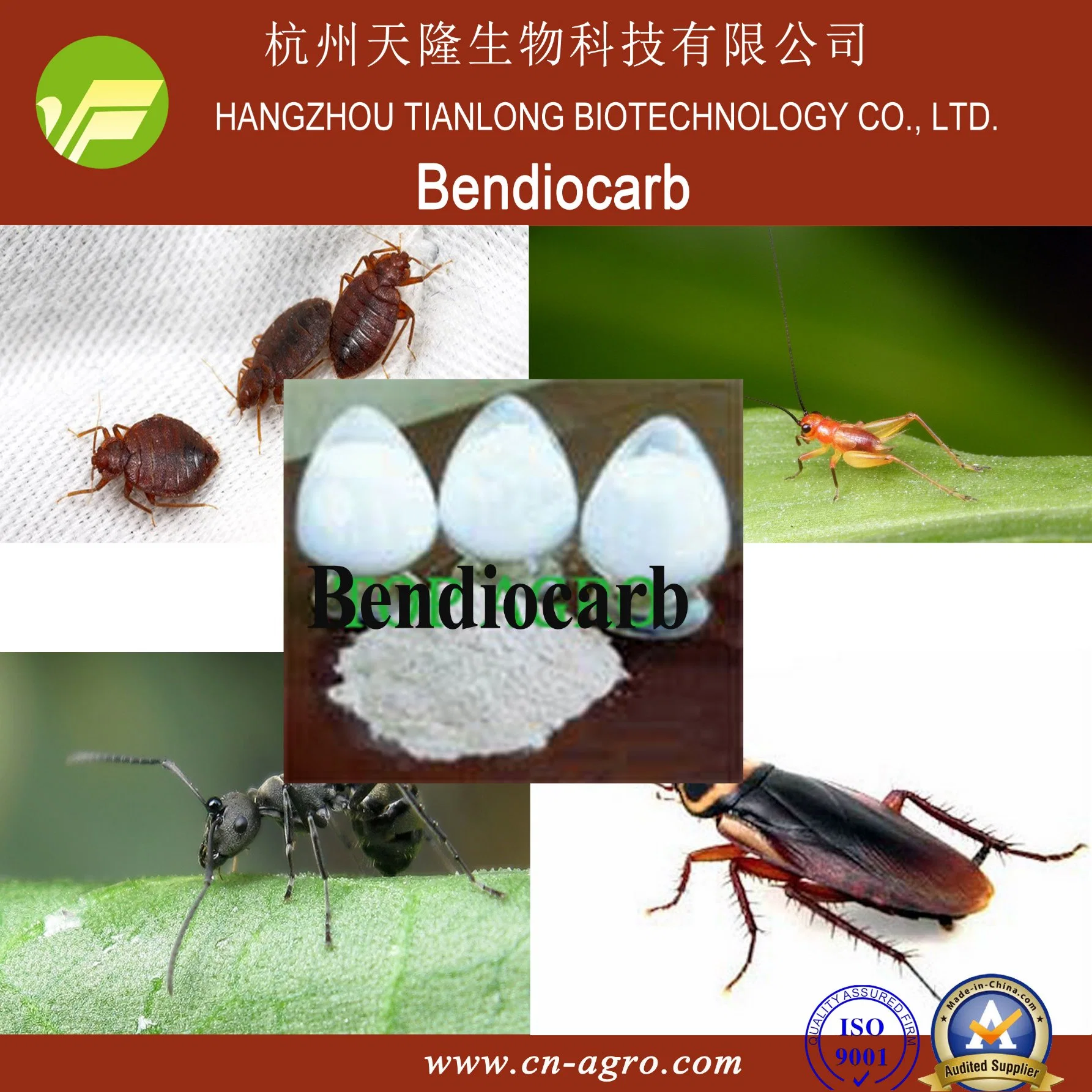 Bendiocarb (95 % TC, 98 % TC, 20 % WP, 80 % WP)-Insektizid