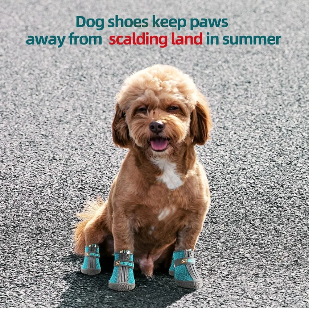 Breathable Dog Shoes for Summer Paw Protector for Outdoor Walking